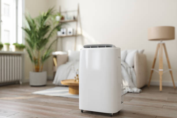 Best Local HVAC Companies  in Elmo, TX